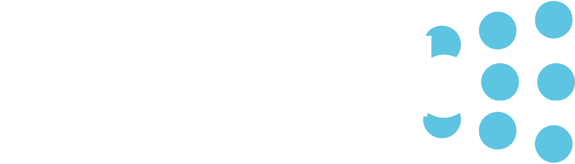 DirtScrub Logo weiß